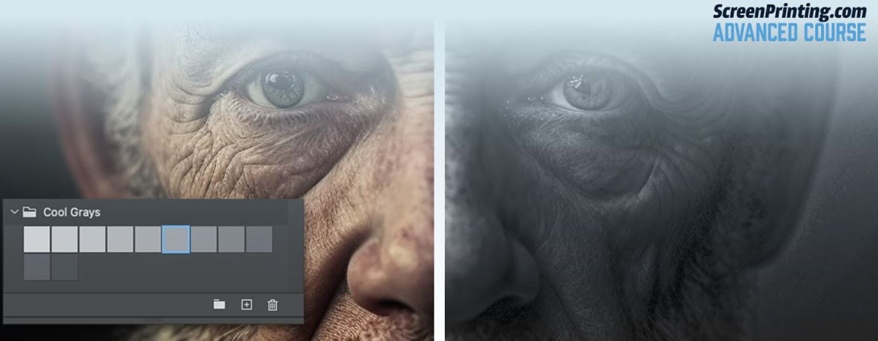 Grayscale Separations in Screen Printing by ScreenPrinting