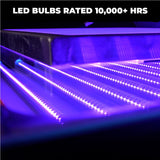 BASELAYR V2331 LED Exposure Unit - 23x31in | Screenprinting.com
