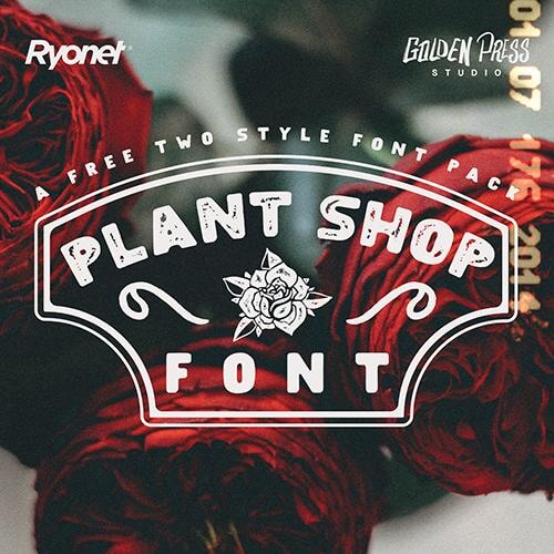 Plant Shop Font by Golden Press Studio (Download Only) | Screenprinting.com